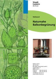 Naturnahe Balkonbegrünung - öko-forum Umweltberatung Luzern