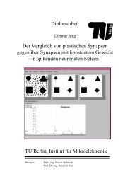 Diplomarbeit Der Vergleich von plastischen Synapsen gegenüber ...