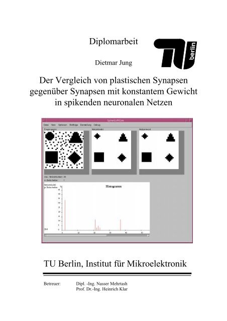 Diplomarbeit Der Vergleich von plastischen Synapsen gegenüber ...