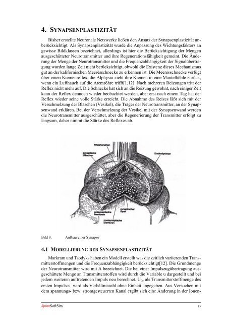 Diplomarbeit Der Vergleich von plastischen Synapsen gegenüber ...
