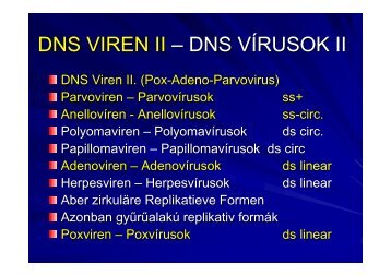 DNS VIREN II – DNS VÍRUSOK II