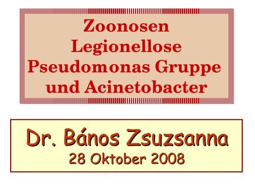 Zoonosen Legionellose Pseudomonas Gruppeund Acinetobacter