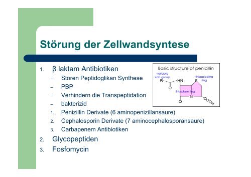 Antibakterielle Chemotherapie