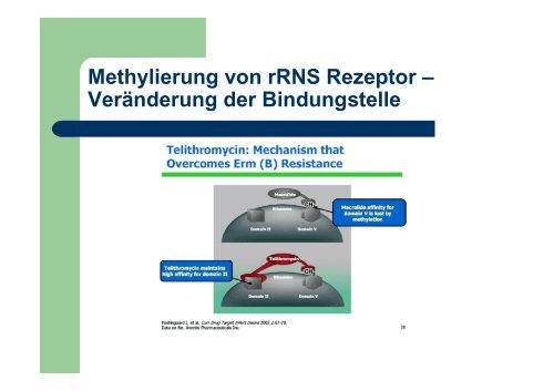 Antibakterielle Chemotherapie