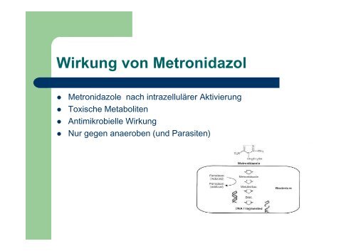 Antibakterielle Chemotherapie