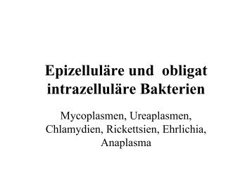 Intrazelluläre und obligat epizelluläre Bakterien