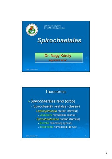 (Microsoft PowerPoint - Spirochaet\341kM2008) - Semmelweis ...