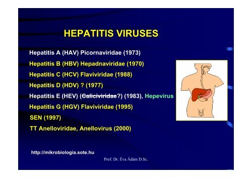 HEPATITIS VIRUSES