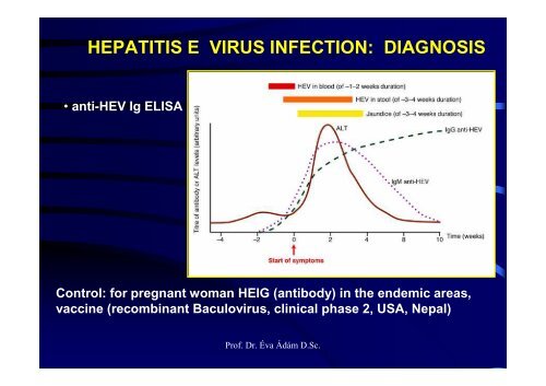 HEPATITIS VIRUSES