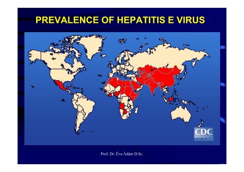 HEPATITIS VIRUSES