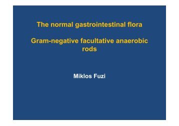 Gram-negative facultative anaerobic rods