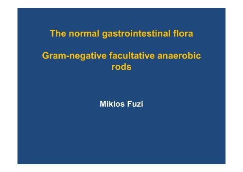 Gram-negative facultative anaerobic rods