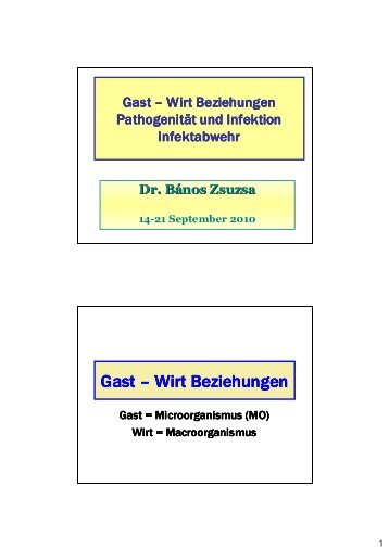 Gast – Wirt Beziehungen Beziehungen