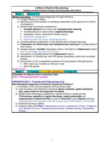 Institute of Medical Microbiology Syllabus of the Practical Classes ...
