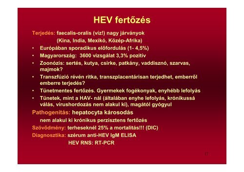 Hepatitis vírusok - Semmelweis Egyetem, Orvosi Mikrobiológiai Intézet