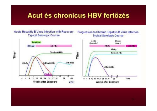 Hepatitis vírusok - Semmelweis Egyetem, Orvosi Mikrobiológiai Intézet