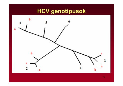 Hepatitis vírusok - Semmelweis Egyetem, Orvosi Mikrobiológiai Intézet