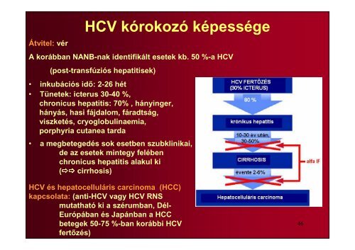 Hepatitis vírusok - Semmelweis Egyetem, Orvosi Mikrobiológiai Intézet