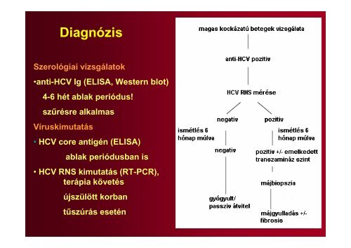 Hepatitis vírusok - Semmelweis Egyetem, Orvosi Mikrobiológiai Intézet