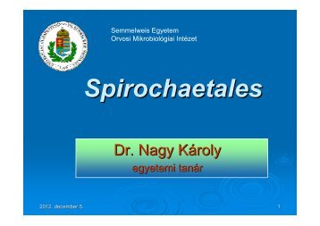 Spirochaetales - Semmelweis Egyetem, Orvosi Mikrobiológiai Intézet