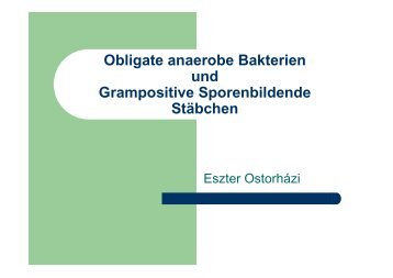 Obligate anaerobe Bakterien und Grampositive Sporenbildende ...