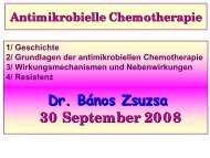 Tetracycline
