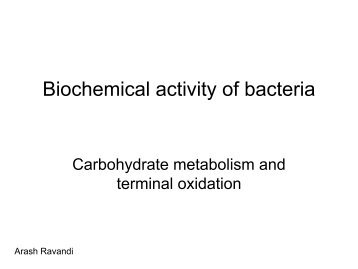 Biochemical activity of bacteria