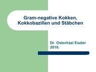 Gram-negative Kokken, Kokkobazillen und Stäbchen