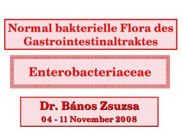 Normal bakterielle Flora des Gastrointestinaltraktes