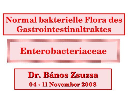 Normal bakterielle Flora des Gastrointestinaltraktes