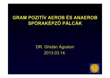 Spórás baktériumok (aerob és anaerob)