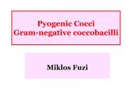 Pyogenic Cocci Gram-negative coccobacilli