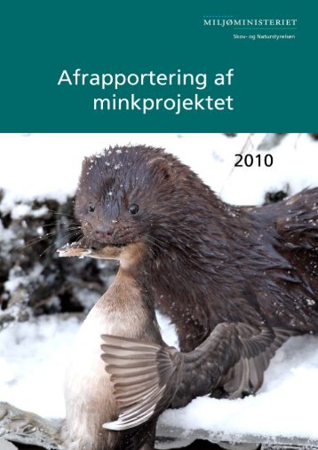 Minkens - Naturstyrelsen
