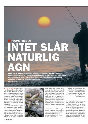 Intet slår naturlig agn. - Bo Troelsen