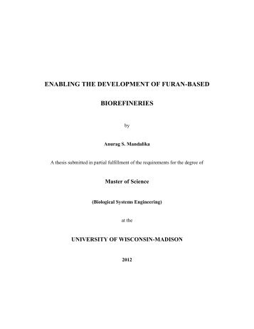 Thesis on furan-based biorefineries