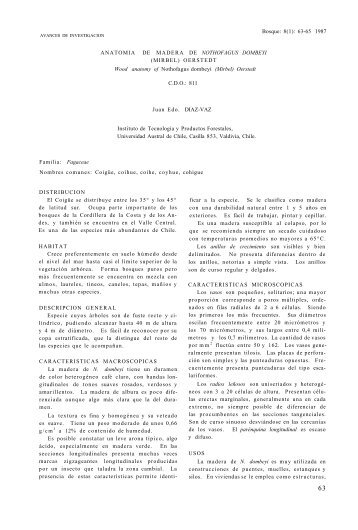 anatomia de madera de nothofagus dombeyi - Universidad Austral ...