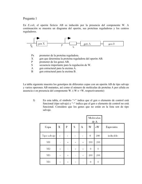 Pregunta 1