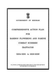 Comprehensive action plan on Baffacos - Mizoram