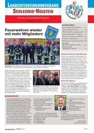 landesfeuerwehrverband schleswig-holstein - Dev by Dev