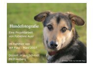 Hundefotografie