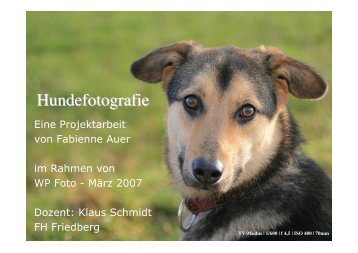 Hundefotografie