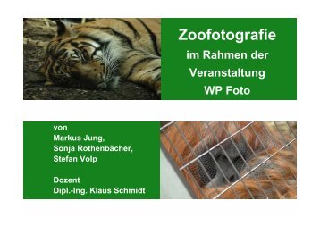 Zoofotografie