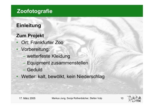 Zoofotografie