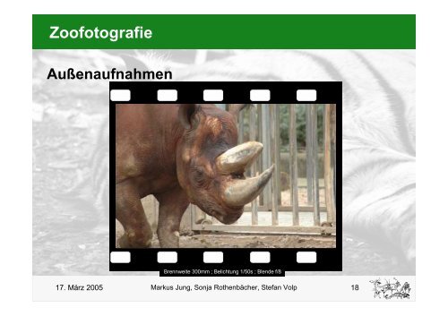 Zoofotografie