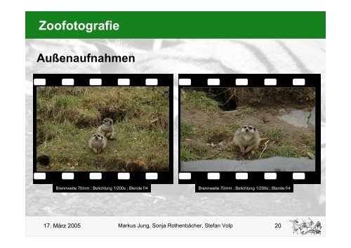 Zoofotografie