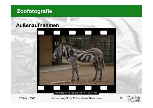 Zoofotografie