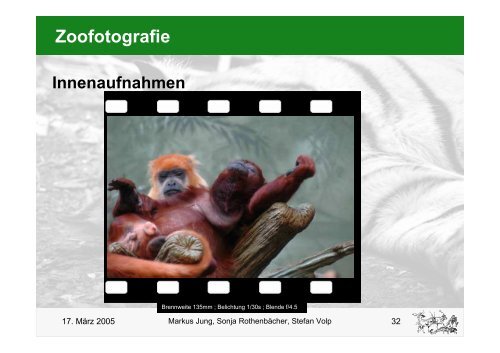 Zoofotografie