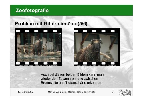 Zoofotografie