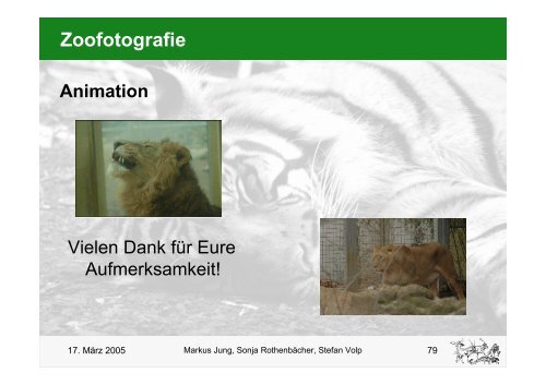 Zoofotografie