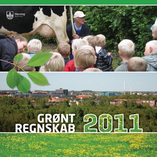 GRØNT REGNSKAB - Herning Kommune